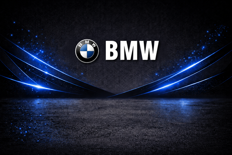 KIT DE VINILOS PARA BMW
